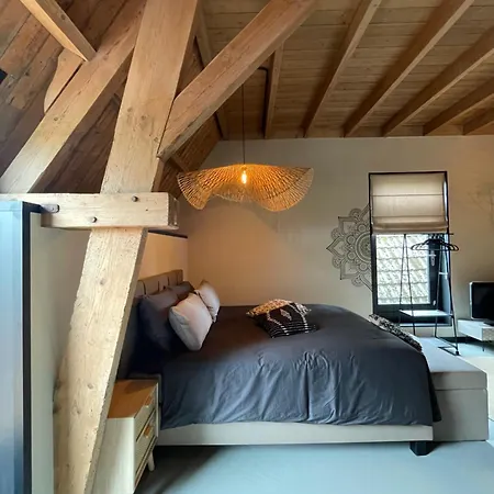 Daar Bij Kempermolen Апартаменты Breedenbroek